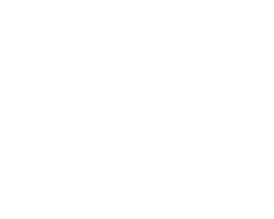 Digilink Logo